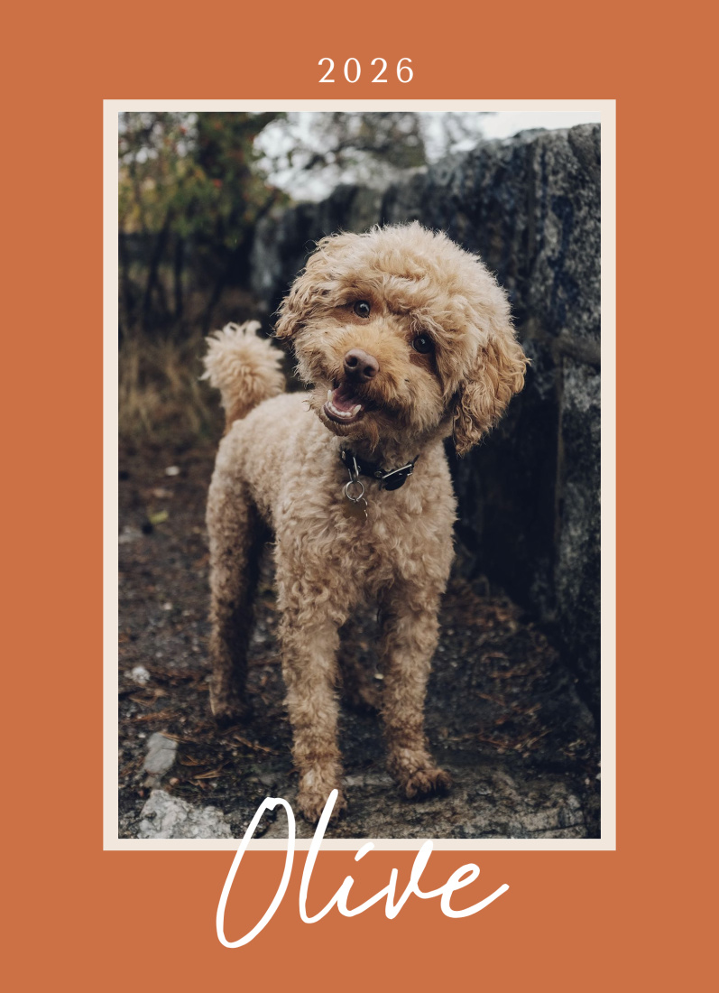 1 Photo layout